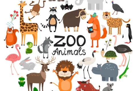 Dierentuin