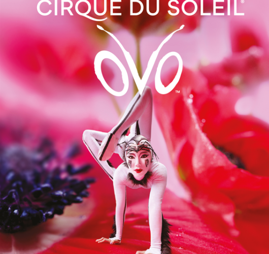 Cirque du soleil - OVO